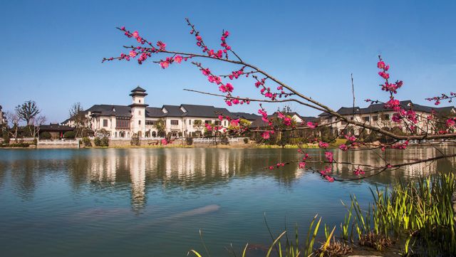 1536904320985494Oapt.jpg 2.jpg